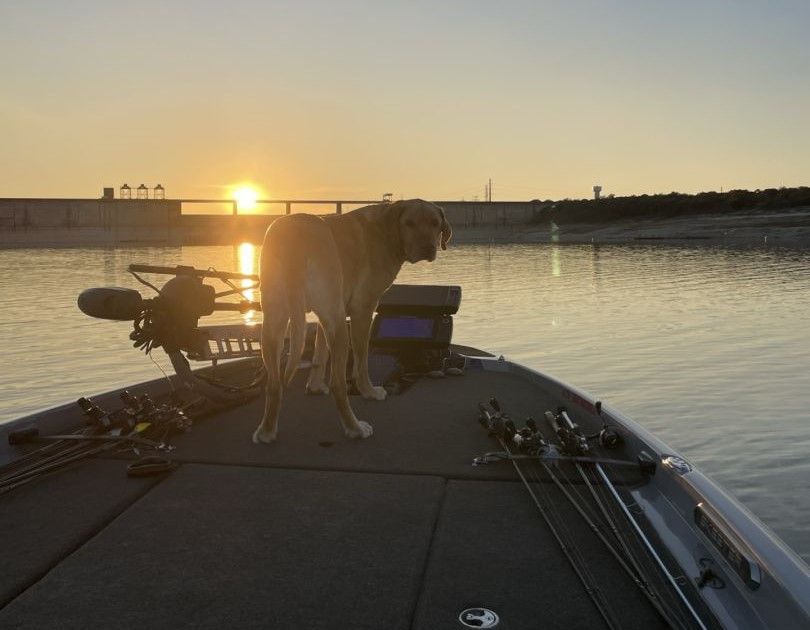 Lake Travis Fishing Report